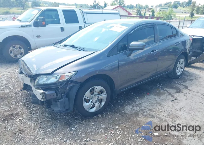 19XFB2F52FE110969: 43095519