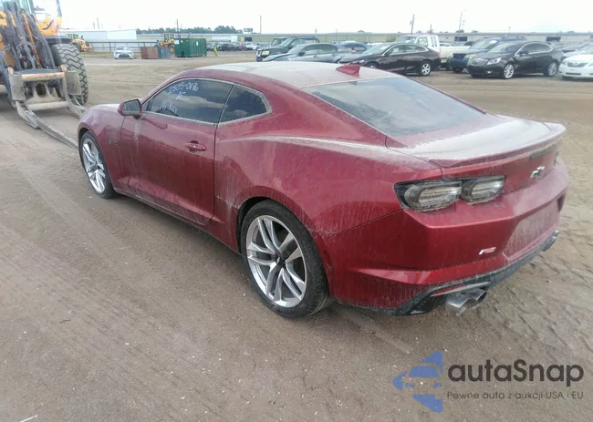 1G1FB1RS4M0138007: 43095581