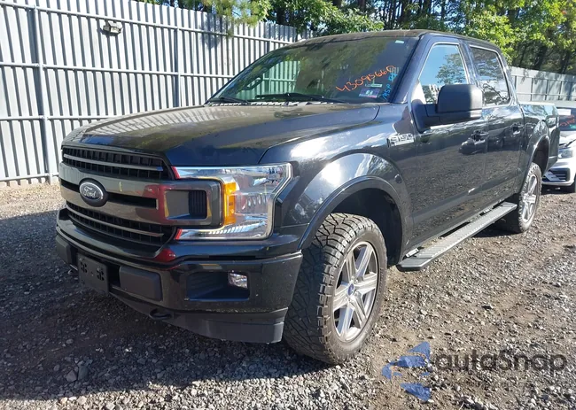 1FTEW1EPXKFA38481: 43095660