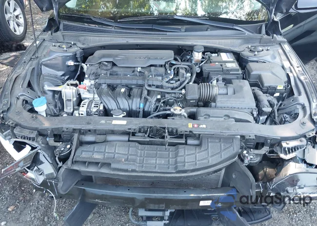 KMHLS4DG0RU780881: 43096131