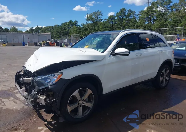 WDC0G4KB9GF011954: 43096533