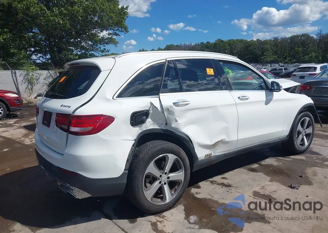 WDC0G4KB9GF011954: 43096533