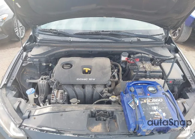 KMHD84LF8HU203588: 43095777