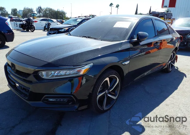 1HGCV1F31LA044904: 43096107