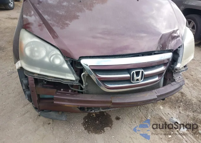 5FNRL38447B113341: 43097399