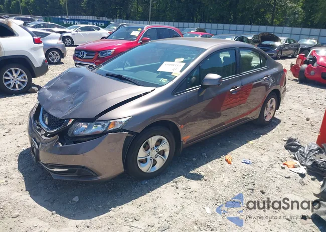 2HGFB2F56DH528423: 43098353