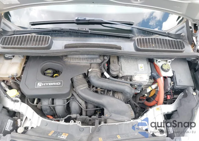 1FADP5BU1DL524925: 43098615