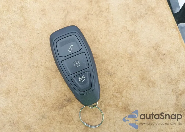 1FADP5BU1DL524925: 43098615