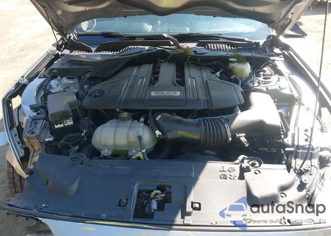 1FA6P8CF8M5116856: 43099152