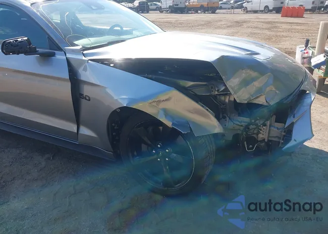 1FA6P8CF8M5116856: 43099152