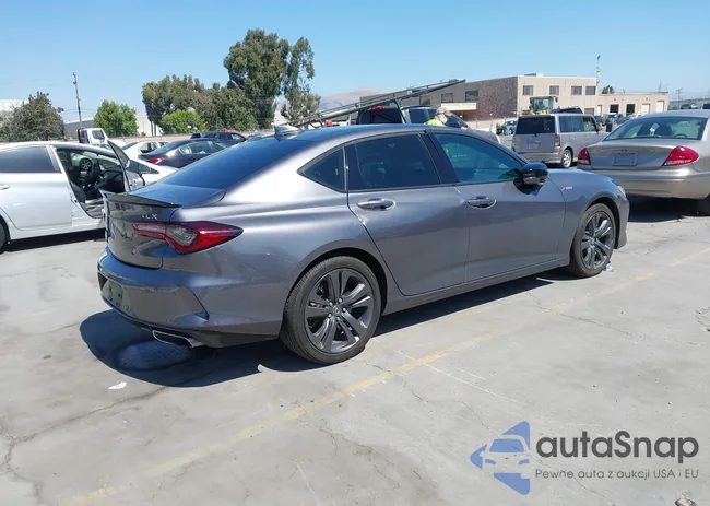 19UUB5F50MA013019: 43099558