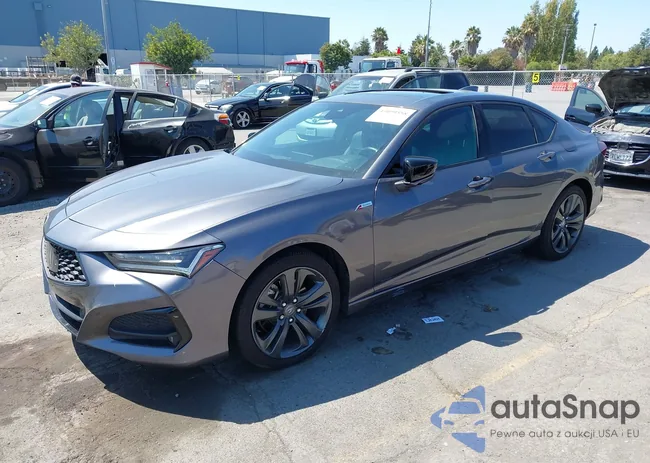 19UUB5F50MA013019: 43099558