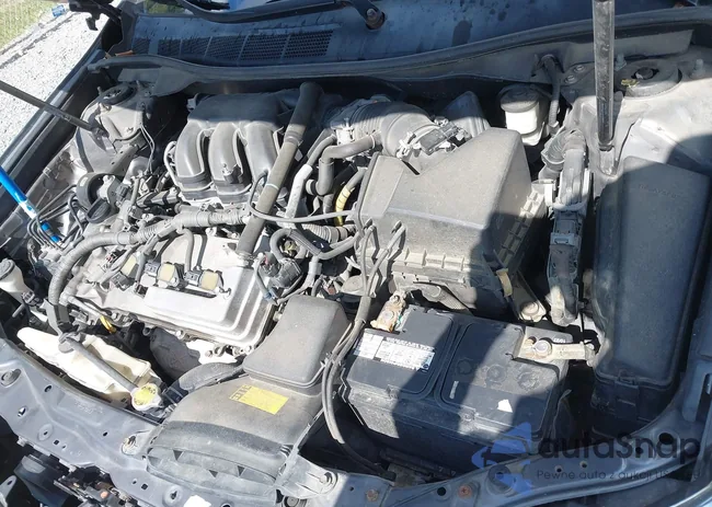 4T1BK1FK2CU013004: 43100376