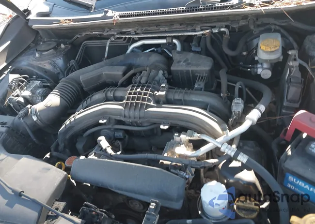 JF2GTAEC1KH229677: 43099734