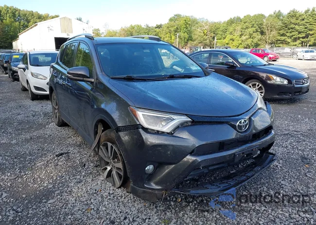 JTMRFREVXGJ102621: 43100001