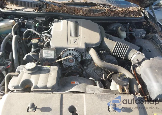 1L1FM81W74Y667295: 43100892