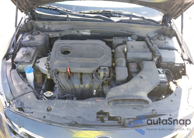 5XXGT4L3XKG295063: 43102432