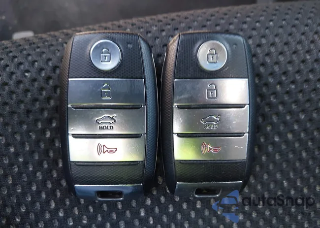 5XXGT4L3XKG295063: 43102432