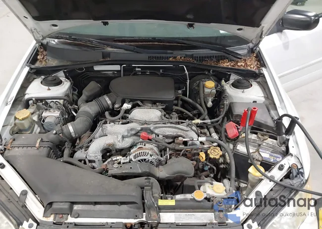 4S4BP61C687312189: 43102482