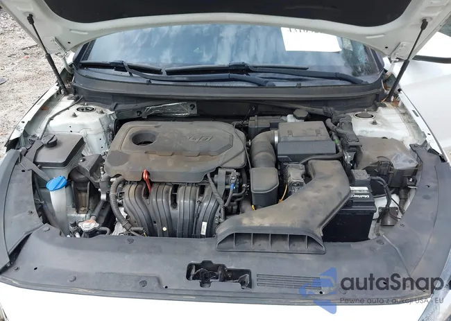 5NPE24AF4KH797790: 43103217