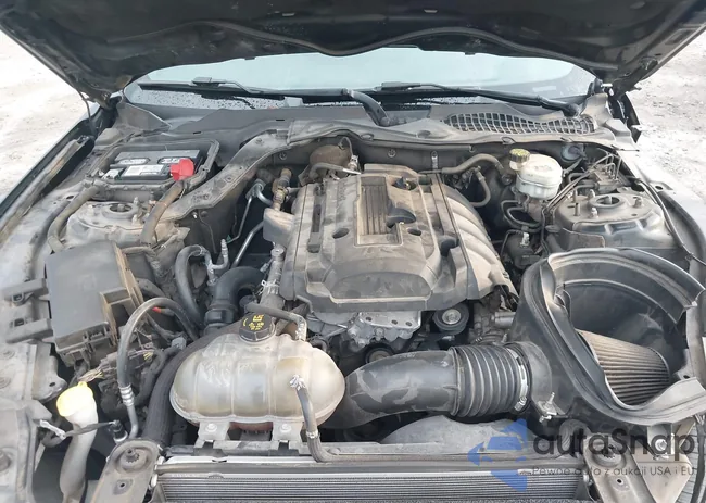 1FA6P8TH6G5301493: 43103500