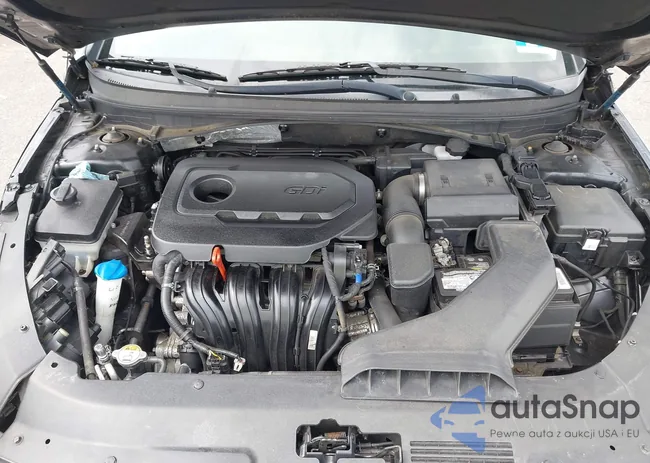 5NPE24AF7JH599560: 43103686