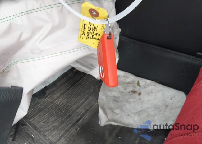 19UDE4G71PA001158: 43102861