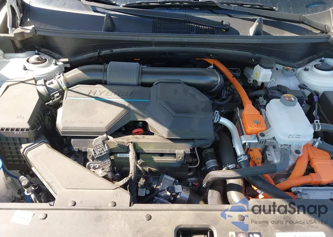 KNDPZDDH7R7168301: 43103022