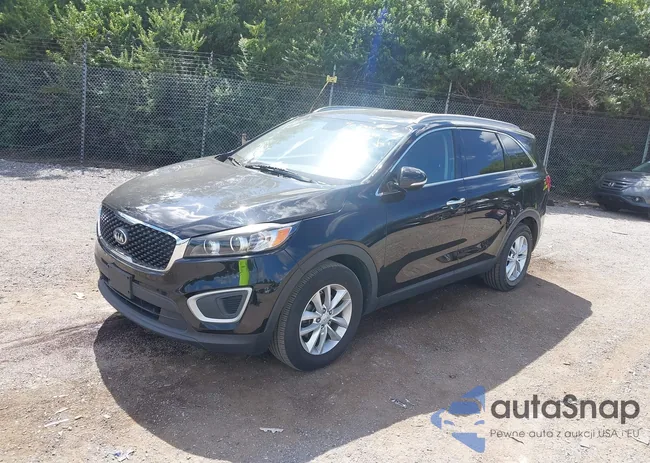 5XYPG4A59HG213353: 43103879