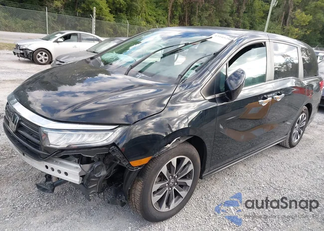 5FNRL6H66RB050216: 43105280