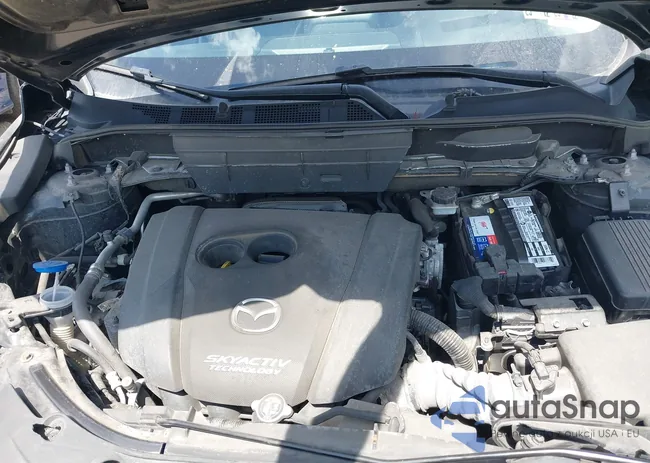 JM3KFBDM7J0341517: 43105528