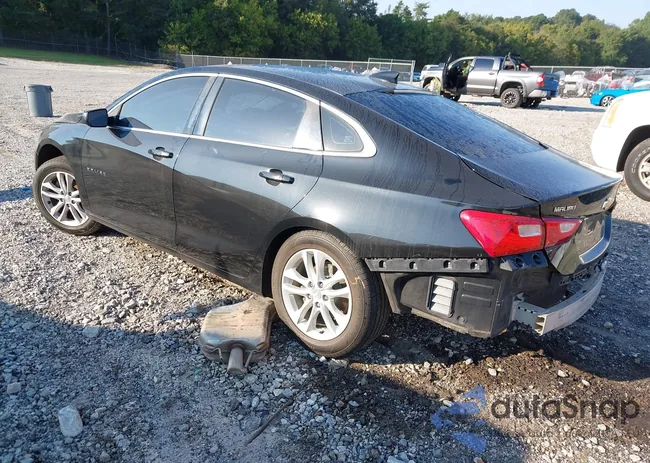 1G1ZE5ST3HF201664: 43105654