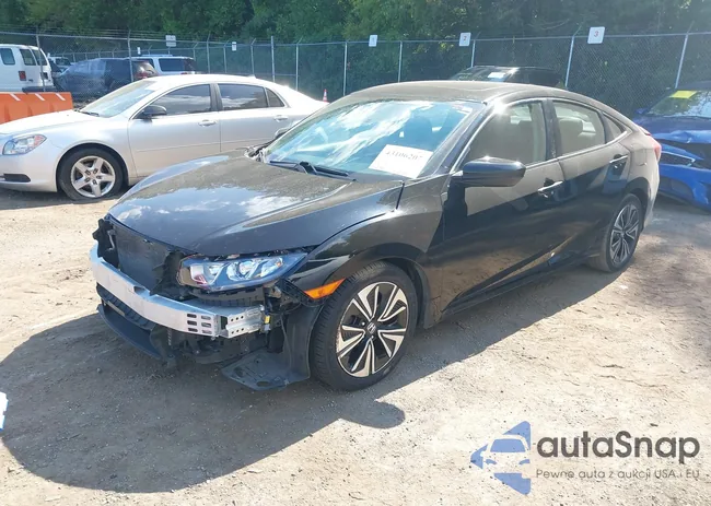 2HGFC1F31HH648562: 43106207