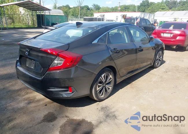 2HGFC1F31HH648562: 43106207