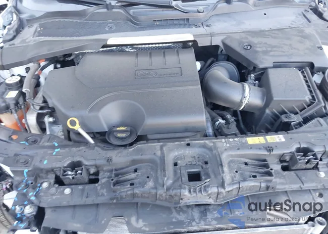 SALZP2FX1MH131828: 43106217