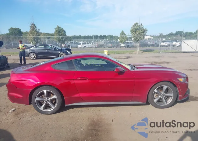 1FA6P8AM1F5398567: 43106322