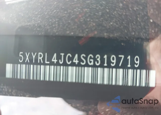 5XYRL4JC4SG319719: 43106596