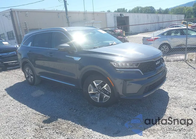 KNDRG4LG0N5081238: 43106628