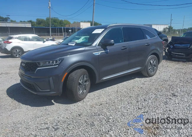 KNDRG4LG0N5081238: 43106628