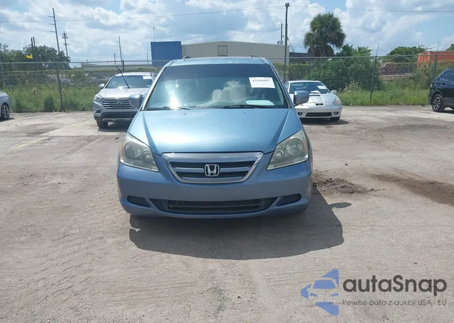 5FNRL38605B033338: 43106687