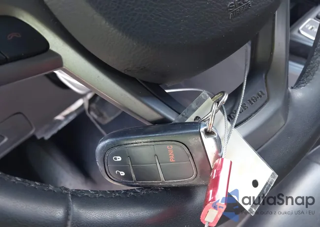 1C4PJLLB1LD556003: 43105880