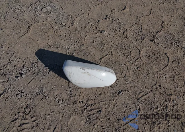 3FA6P0LU6KR272243: 43105944