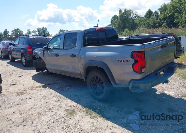 1GCPTEEK0R1259429: 43105994