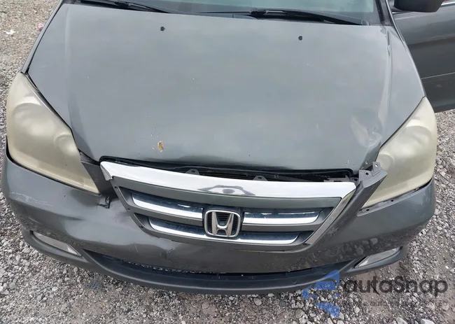 5FNRL38887B004531: 43108423