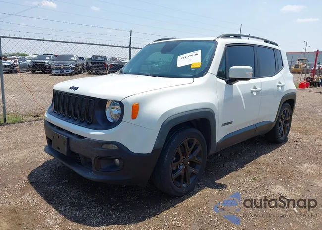 ZACCJABBXJPJ04406: 43107906