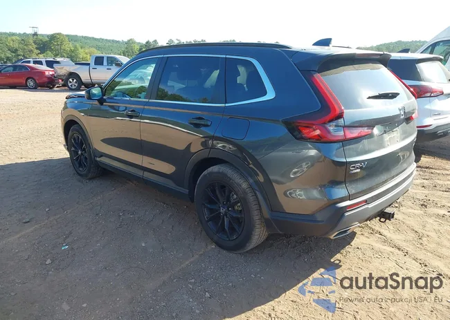 7FARS6H81RE028794: 43109534