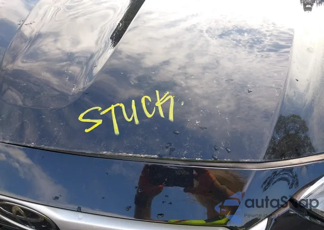 5TDGZRBH6MS084372: 43109009