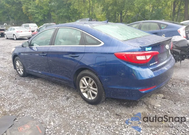 5NPE24AF0FH185771: 43109083