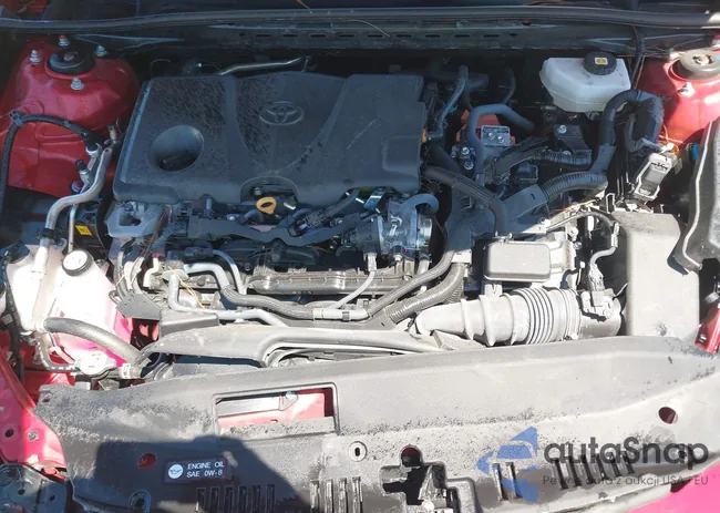 4T1DAACK1SU024204: 43111511