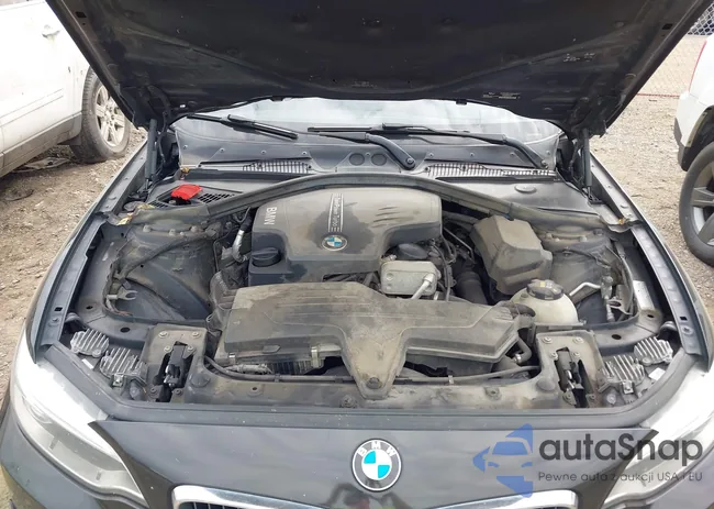 WBA1G9C50FVX96835: 43111761